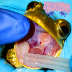 Don't Resuscitate, For Self Infliction Has Won