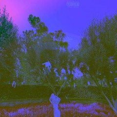 TIMELESS *all platforms