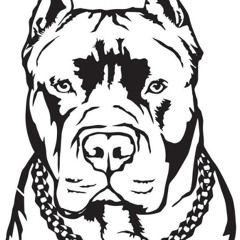 NO BARK ALL BITE PROD.OPTICS BEATS