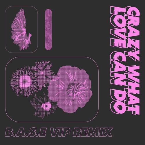 David Guetta - Crazy What Love Can Do (B.A.S.E VIP REMIX)