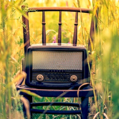 sonic sounds in stereo