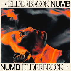 Numb (Elderbrook VIP)