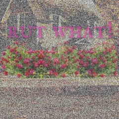 RUT WHAT! (prod.Dwisenhower feat.DutchRevz)