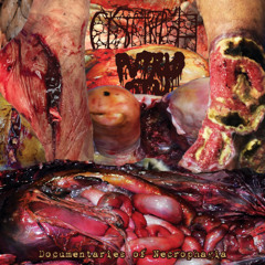 Cystgurgle / Putrid Stu – Documentaries of Necrophagia (Full Split 2023 Goregrind)