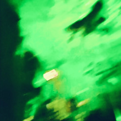 Giullare