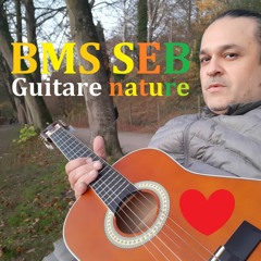 GUITARE NATURE ( BMS music)