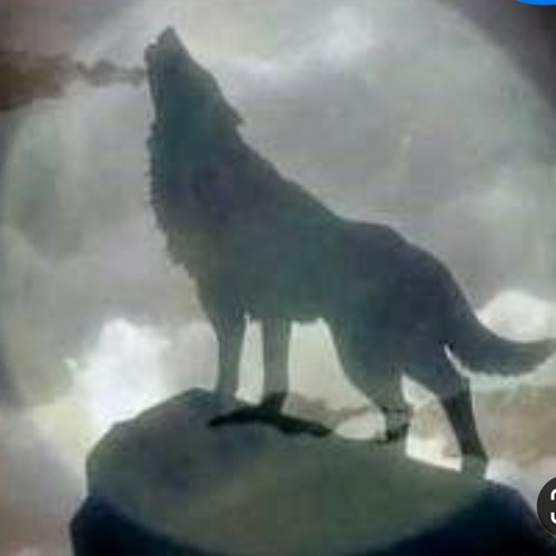 LITTLE PIGGY/HOWLING AT THE MOON