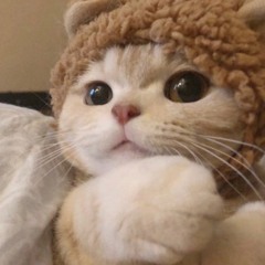 My Dear Mix