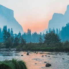 La vista. Espectáculo 5in - Sentidos