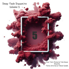 TNT House Posse - Deep Tech Dynamite - Volume 5