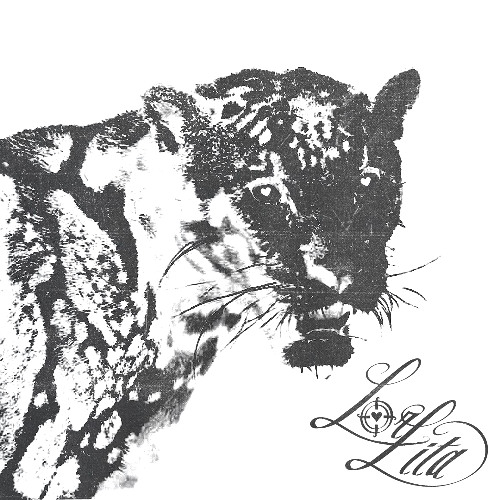 never let u go (demo) [prod. aloa x bl4cko]