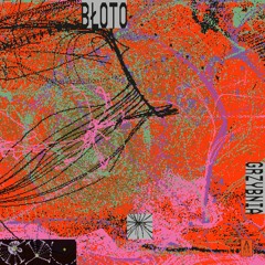 Błoto - Łysiczka