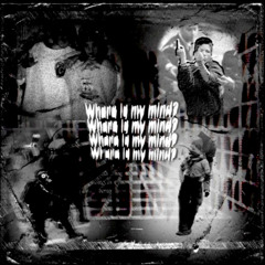WHERE IS MY MIND