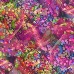 flapdash