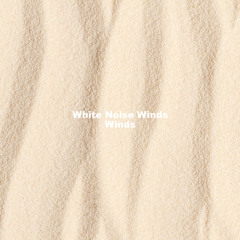 White Noise Wind