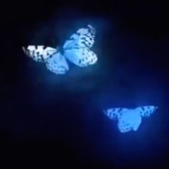 Don Toliver - New Drop [sincerely Lue. Edit]