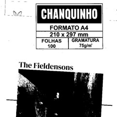 tudo bem nada mal [fieldensons x catzin]