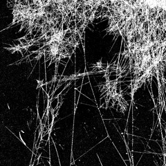 PREMIERE: BLACK ASTEROID - FALLING (FEAT. IAN ASTBURY) [ Federal Prisoner ]