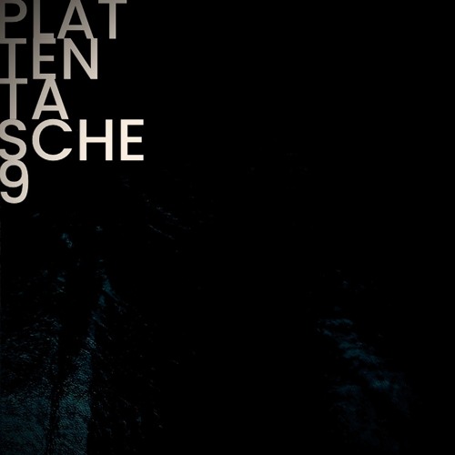 Plattentasche 9