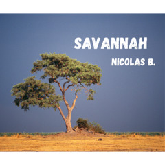 Savannah