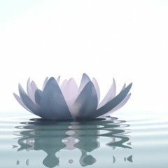 Vocal Toning 4 Wellness ~ 7 minutes (music only)