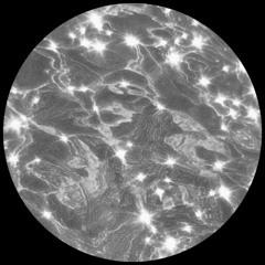 PREMIERE: Novaj & Louis Seigner - Always On My Mind (Let U Go) (Sped Up Version)