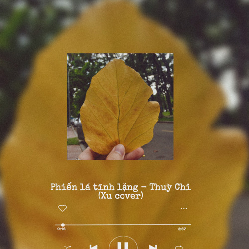 PHIẾN LÁ TĨNH LẶNG | THÙY CHI - XU COVER