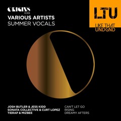 Premiere: Josh Butler & Jess Kidd - Can’t Let Go | Origins Rcrds