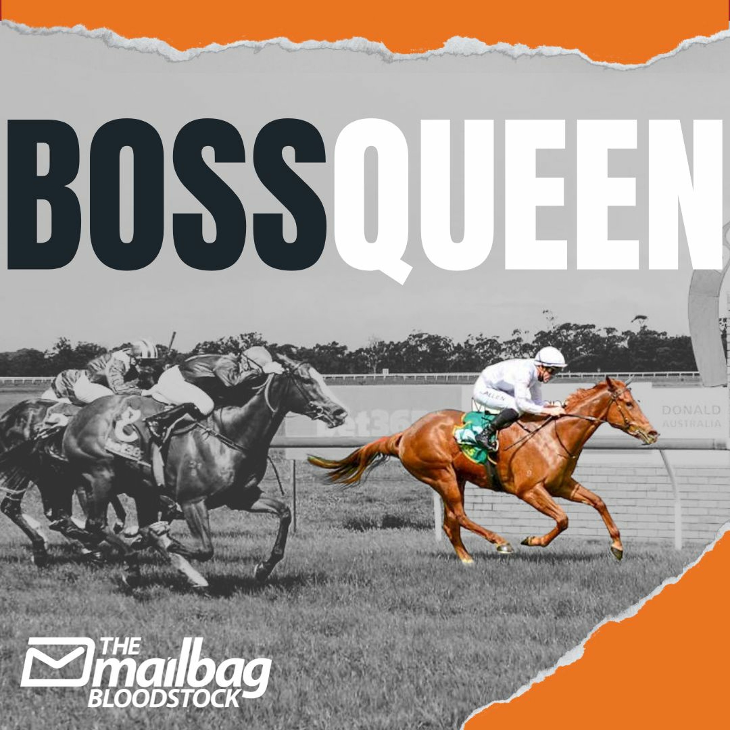 The Mailbag Bloodstock - New Purchase - Boss Queen episode artwork