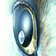 let’s name it now.flac