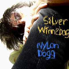 Silver Winnebago — 4.14.24 [NYLON DOGG]