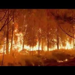 Cal Cutlass - "Voiceless" (prod. Cal Cutlass)