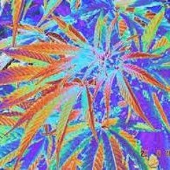 Pure psychenautical!!!