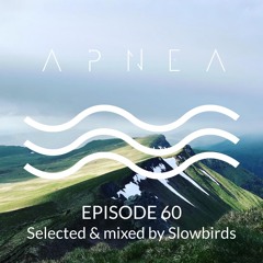 Episode 60 - Selected & Mixed by Slowbirds