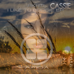 Cassie x Akhti - I Like To Boogie With Me And You