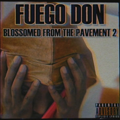 BLOSSOMED FROM THE PAVEMENT 2