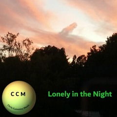 Lonely In The Night