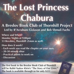 (14) Breslov Book Club The Story Of Our Lives - Chapter 12