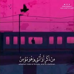 تلاوة عطرة بصوت القارئ عبد الرحمن مسعد 》