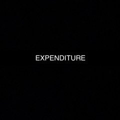 EXPENDITURE