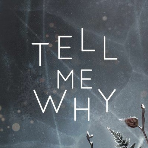 R3ckzet - Tell Me Why (Original Mix)