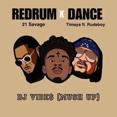 REDRUM X DANCE - DJ V!BE$ (MUSHUP).wav