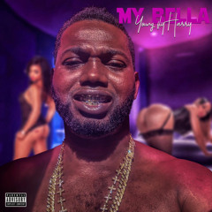 Young Fly Harry - never put the Blame On Me