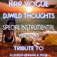 Wild Thoughts (Special Edit Instrumental Mix)
