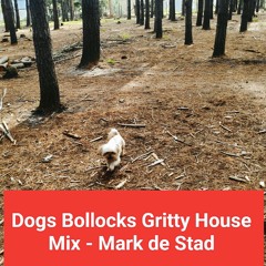 Dogs Bollocks Gritty House Promo Mix - Mark De Stad