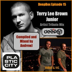 RadioB - DeepBox: AndrewJ (Artist Spotlight - Terry Lee Brown Jr., Budai & Vic) / 29.4.2023