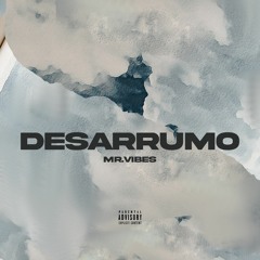 MR.VIBES - DESARRUMO