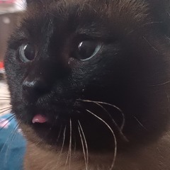 На Льду<3 U (prod.slxwly)