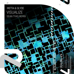 Visualize (Sean Tyas Extended Remix)