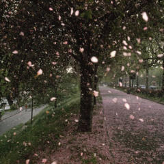 Untitled playlist **